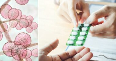 Inside New York's 'superbug' crisis â and the bad habit that's fueling antibiotic resistance